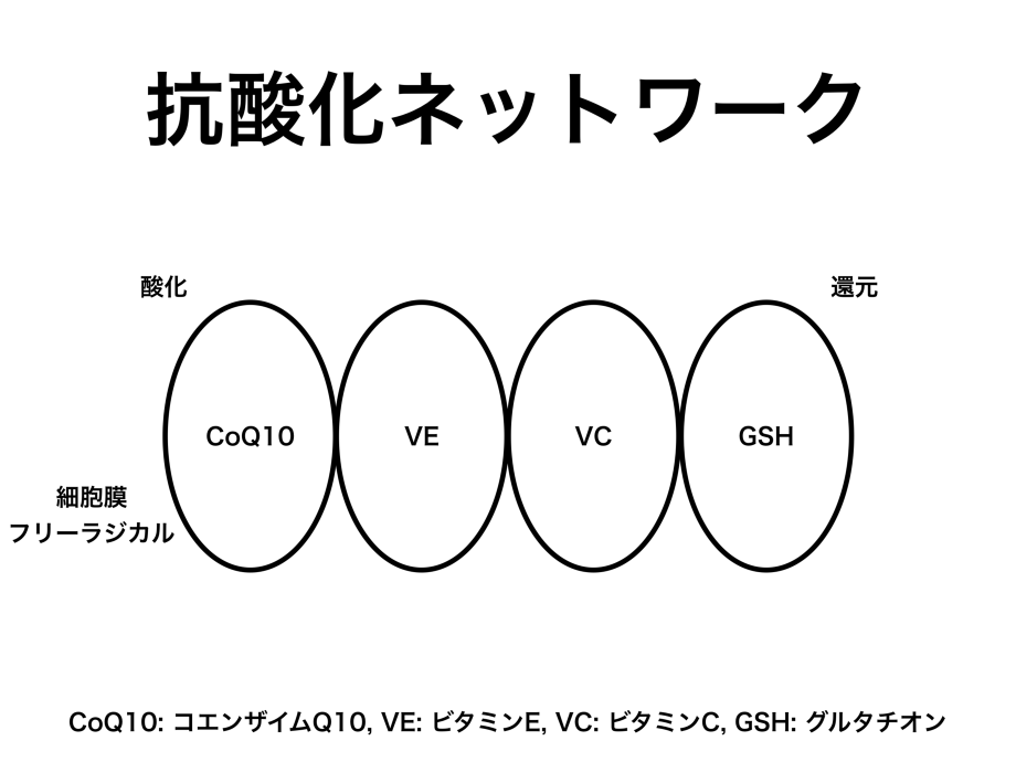 抗酸化ネットワーク、CoQ10, VitaminE, VitaminC, GSH