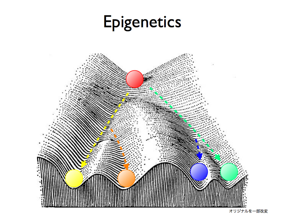 エピジェネティクスを表す図