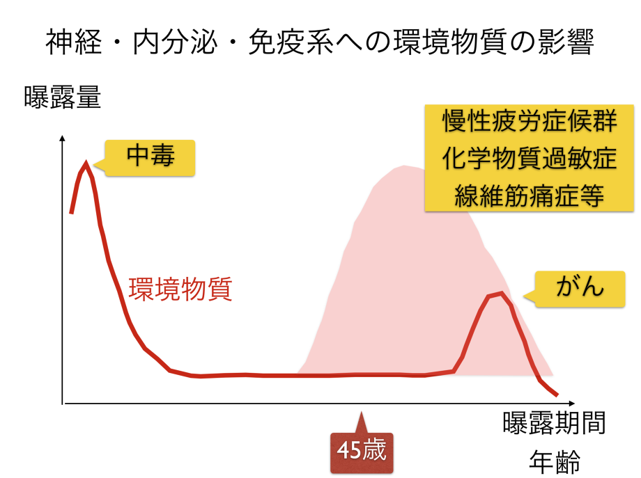 神経・内分泌・免疫系への環境物質の影響。慢性疲労症候群、化学物質過敏症、環境物質に慢性的に暴露していると線維筋痛症などが45歳ごろに発症。